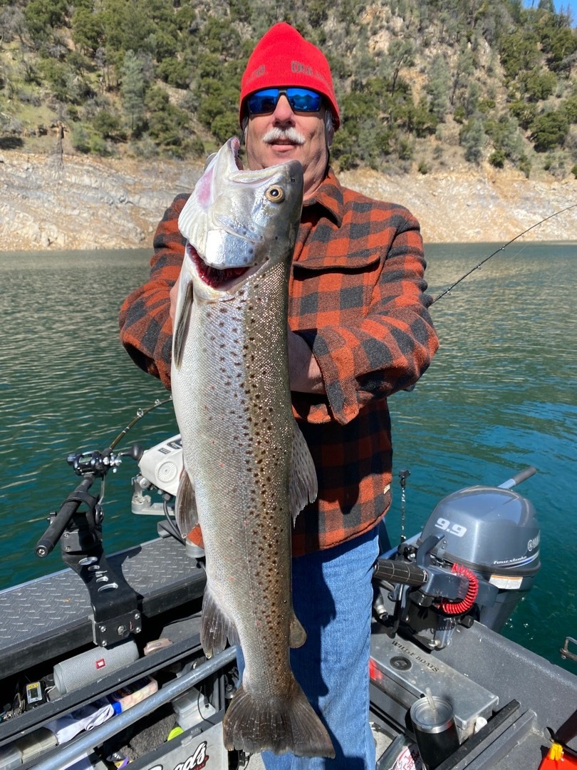 Shasta Lake fall/winter trout!