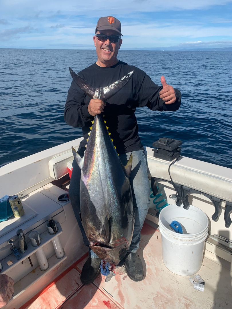Anglers still being rewarded in bluefin tuna hunt