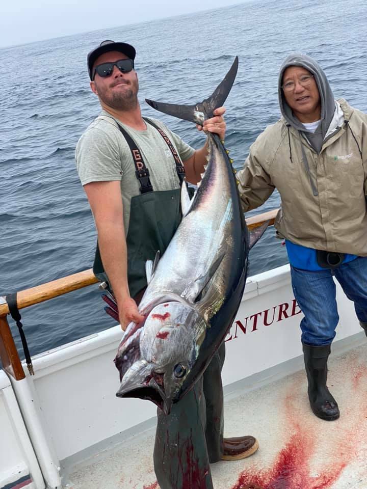 Wrapped up the season with plenty of Bluefin and a jumbo Yellowtail