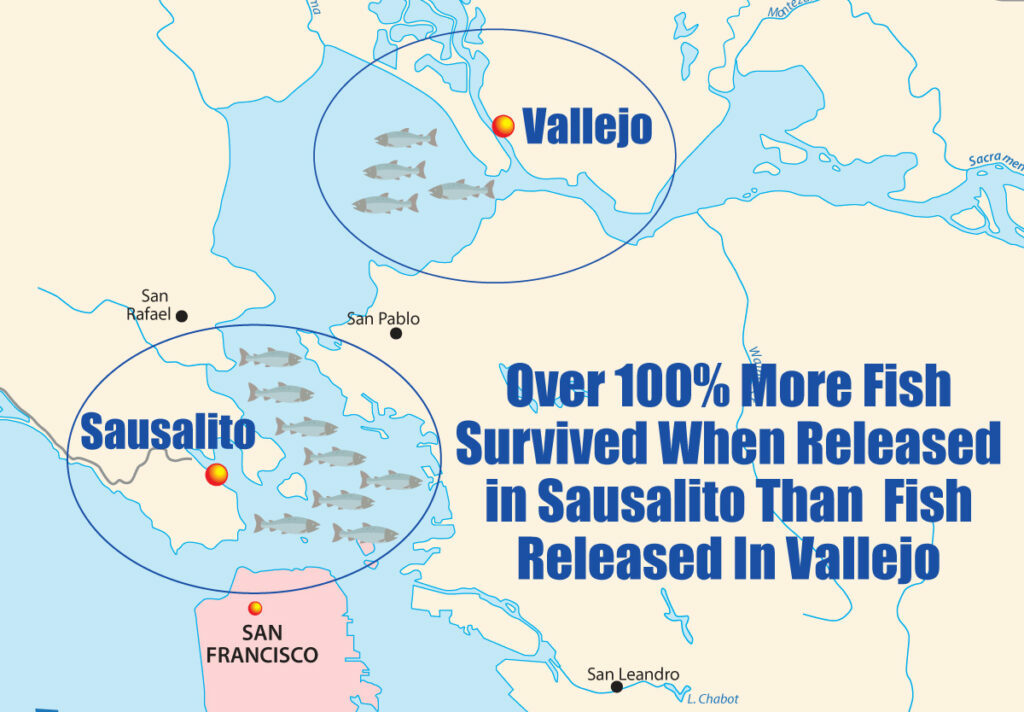 New SF Bay Releases Far Out Survive All Other Releases