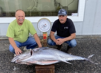Bluefin Anglers Got Lucky Today