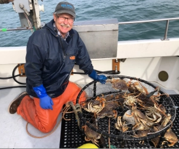  Plenty and Full: An excellent start to sport crab season