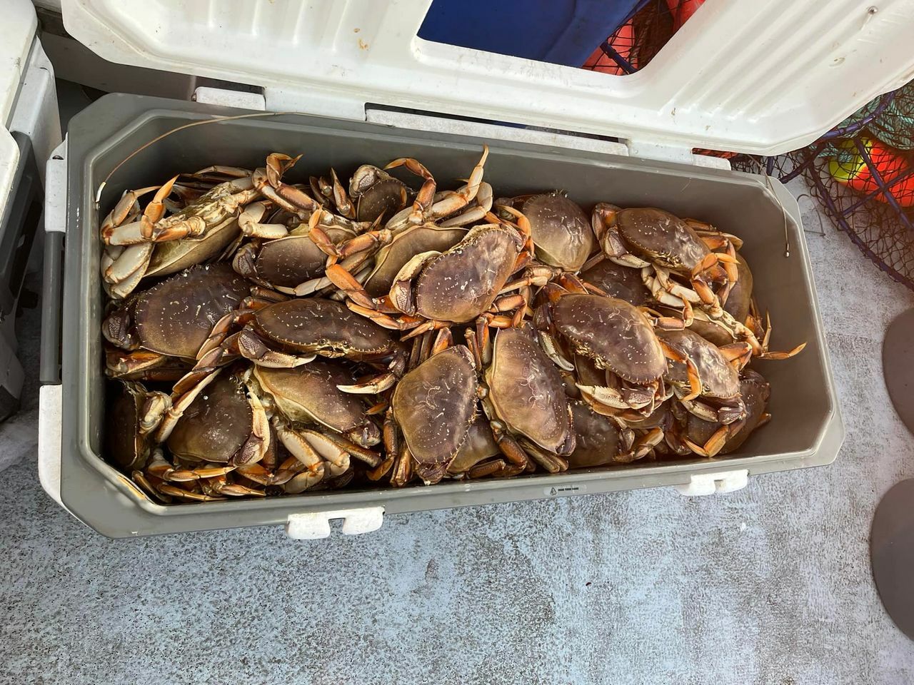 Crab-only trip today 