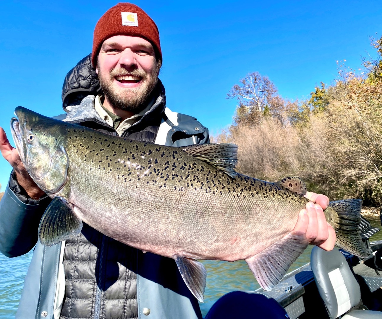 Sac River Salmon/steelhead Fishing Opportunities This Holiday Season!
