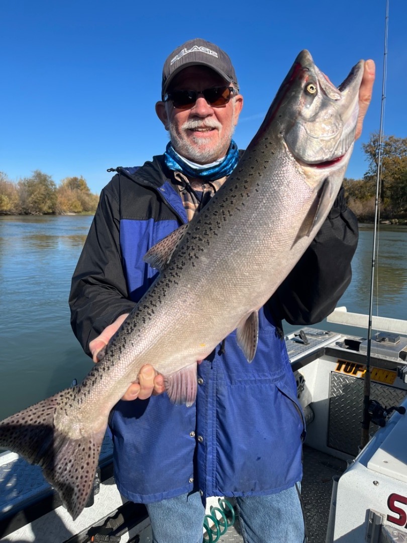 King Salmon Tricking In the River 