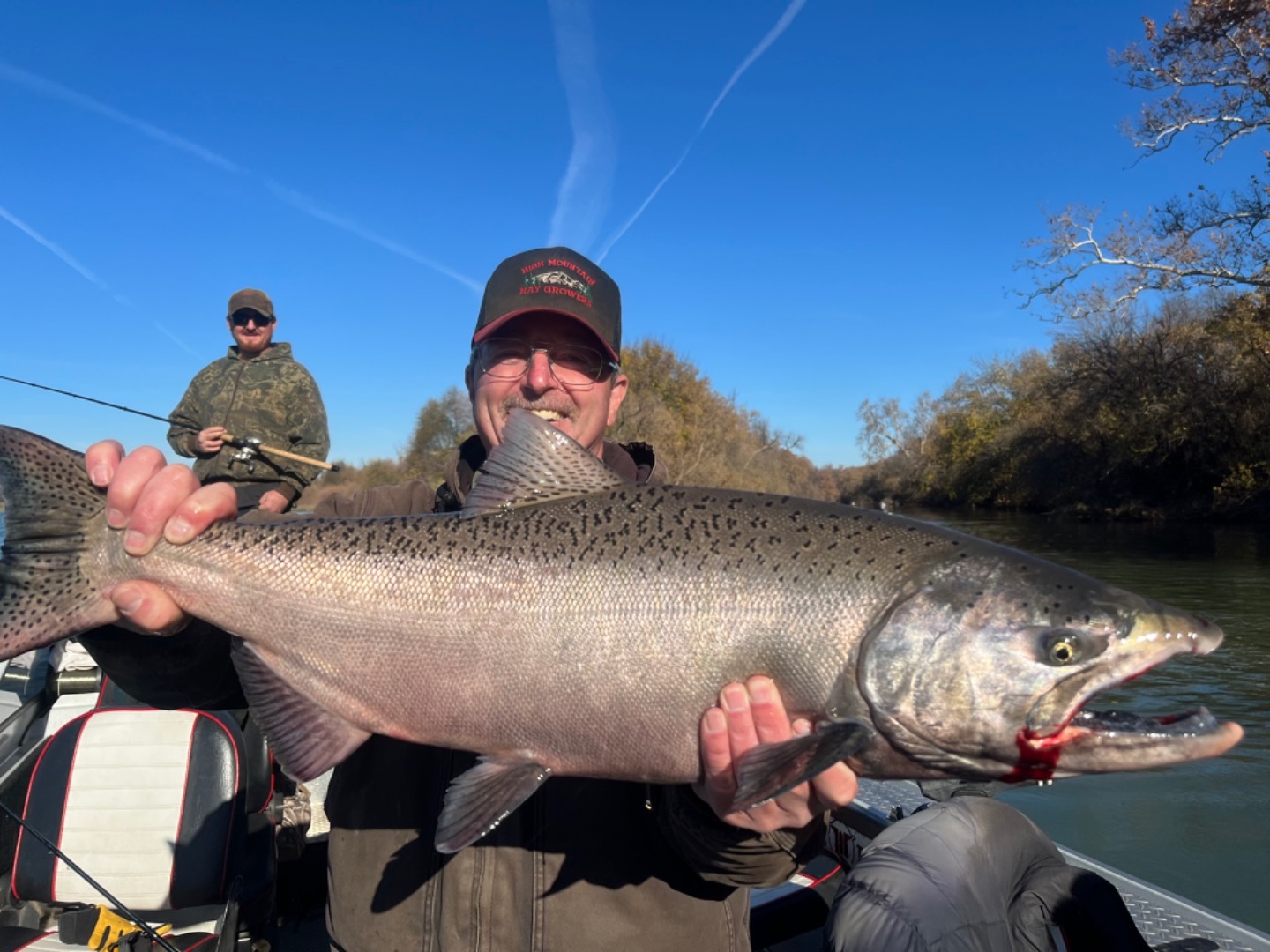 King Salmon on the Sacramento River 
