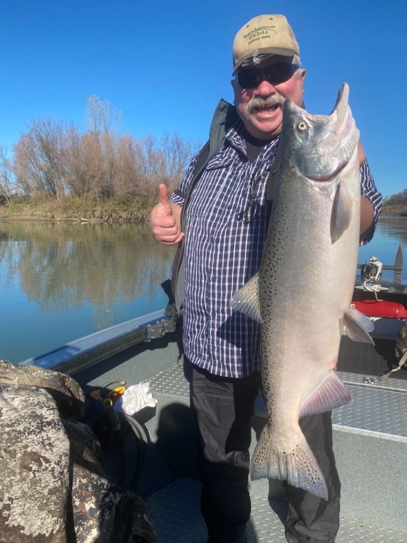Sacramento River king salmon 