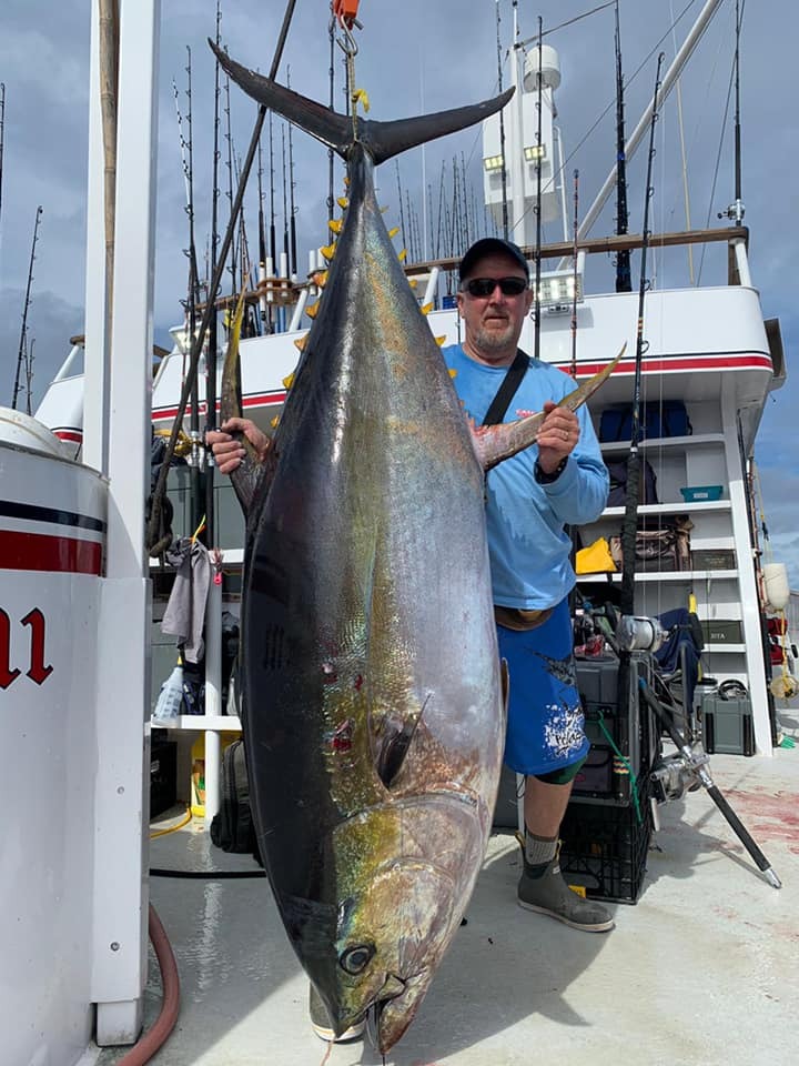 Yellowfin Tuna Wall of Fame - Sportfishing Report