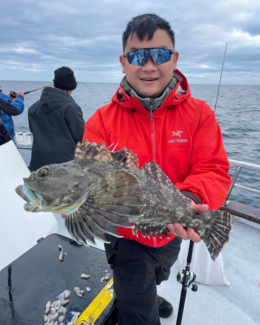 Farallon islands rockfish and crab 🦀 