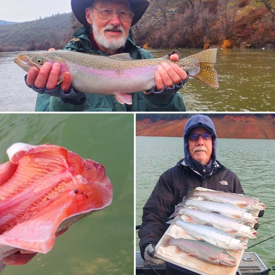 Klamath River Shasta and Siskiyou Lakes producing great fish