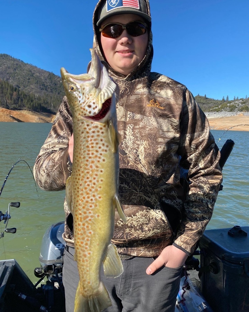 Shasta Brown Trout Season!