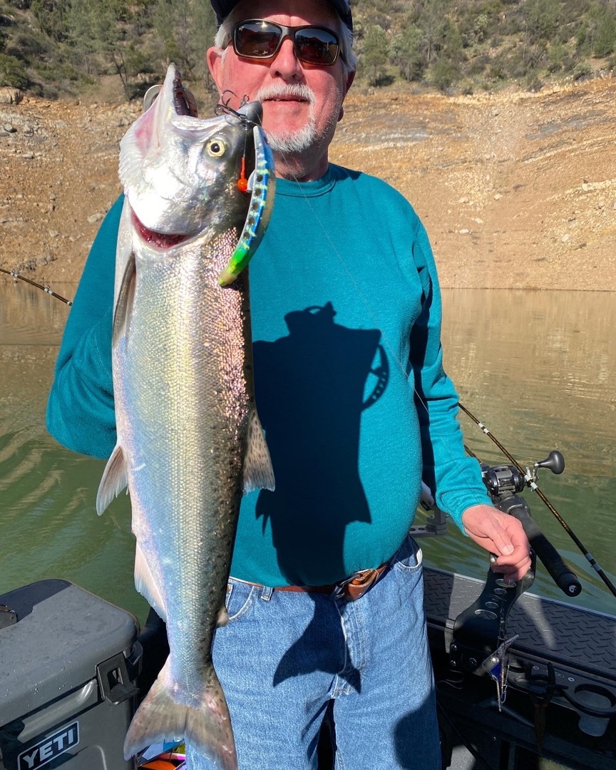 Shasta Lake trout fishing report!