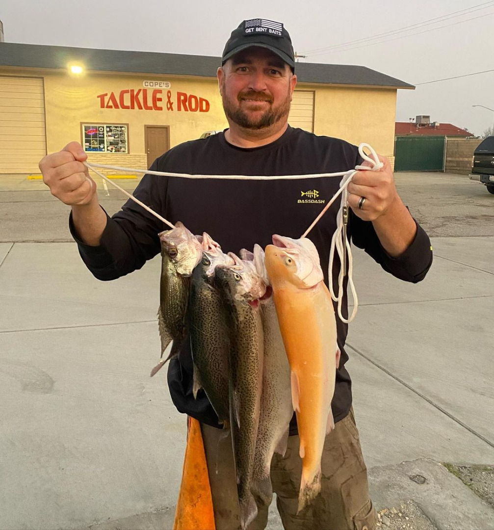 Big stringer of trout and a crappie from Buena Vista! - December