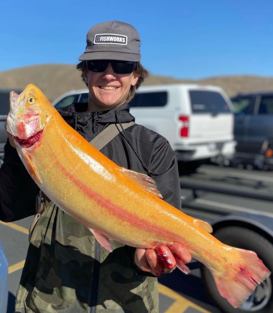Diamond Valley Lake Fish Report Hemet, CA (Riverside County)