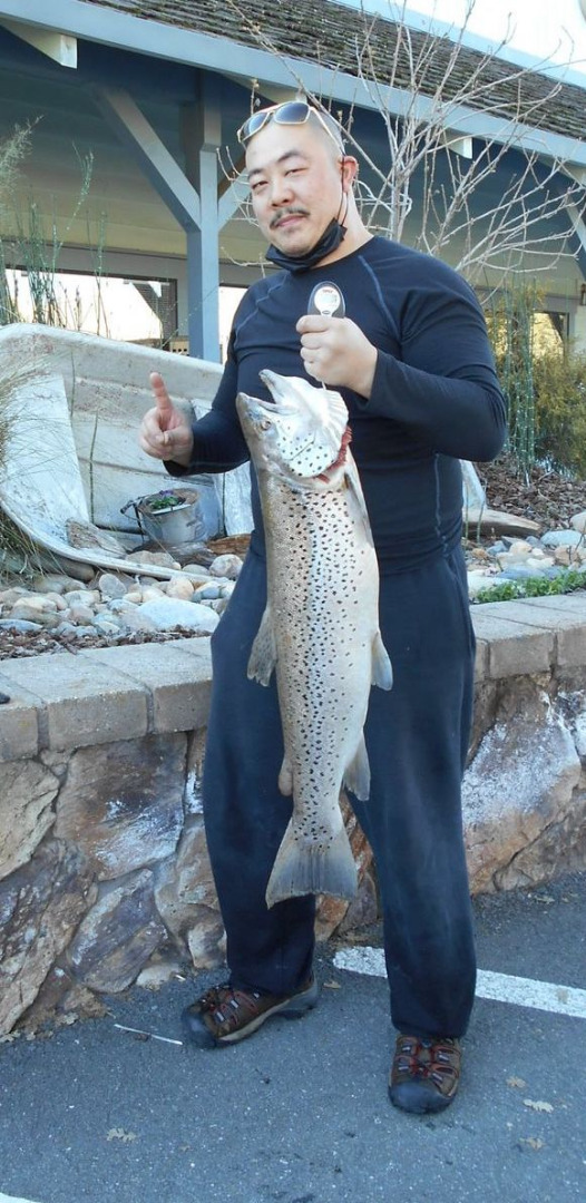 New Melones Brown Trout lake record tied
