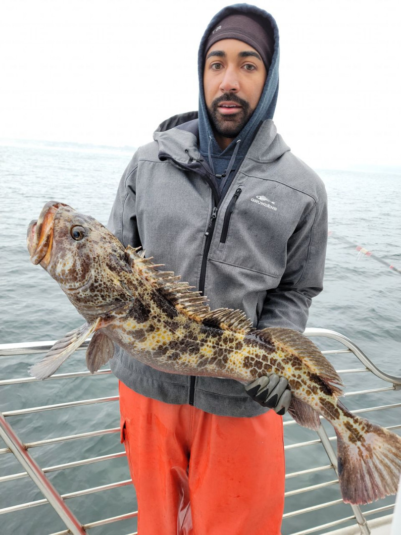 The Ling Cod have been on the bite! Building trips this week on the Surfrider