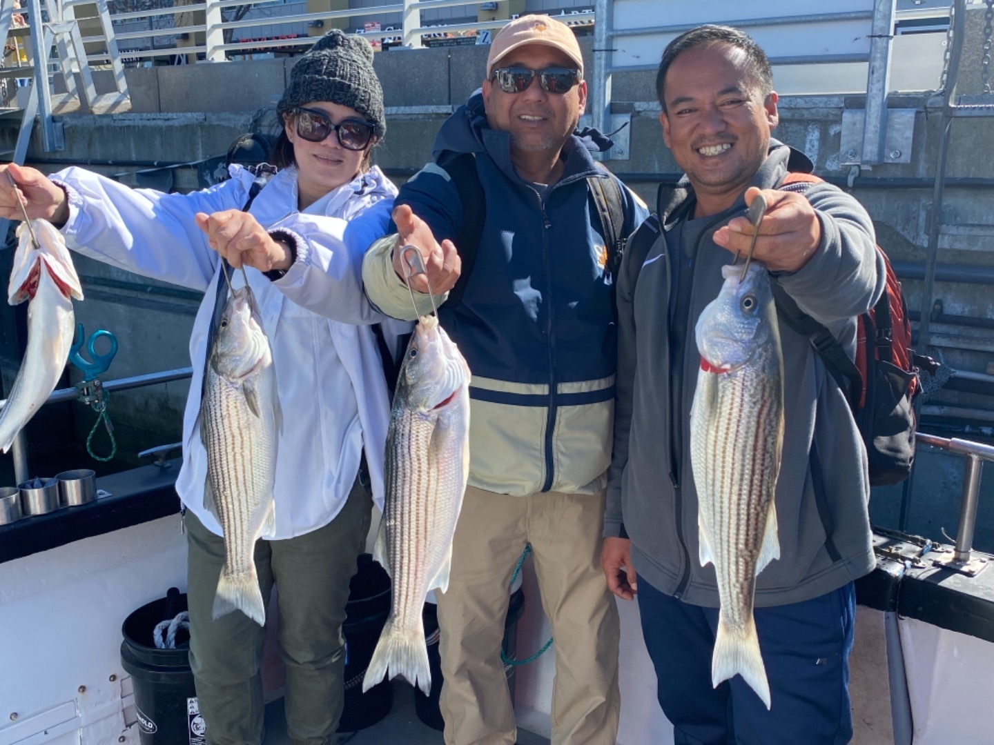 Spring Stripers