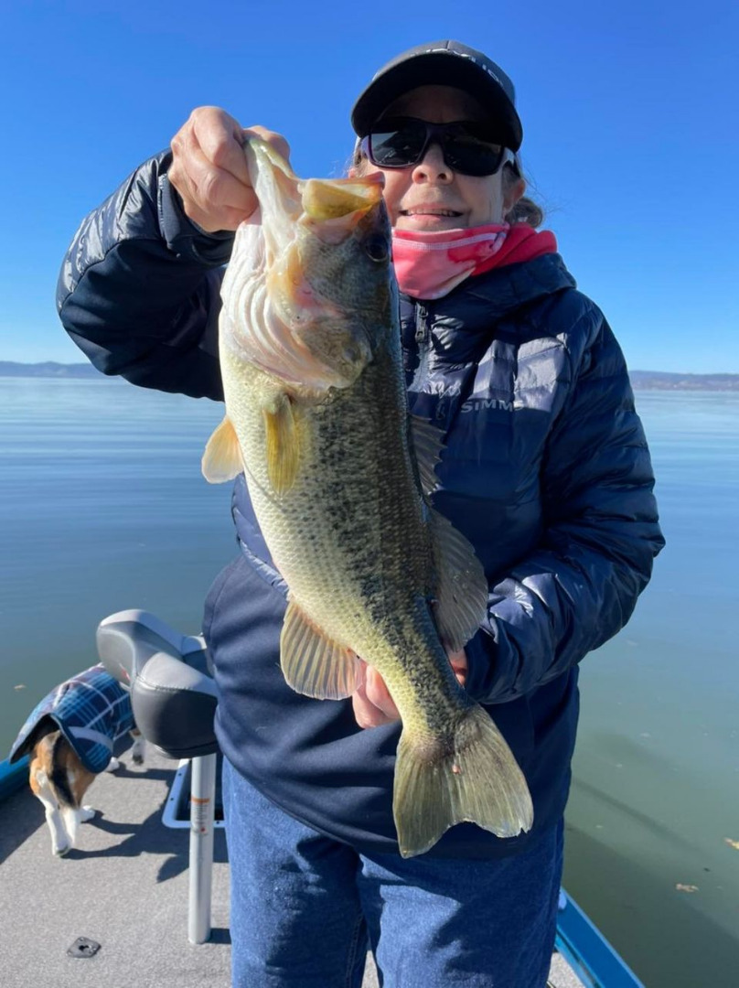 Clear Lake Fish Report - Clear Lake - Clear Lake Fishing Report