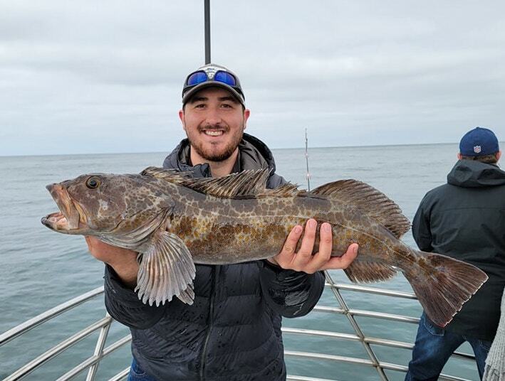 The Lingcod have been on the bite! 