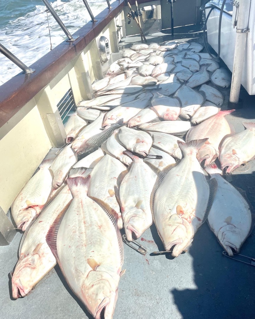 21 limits(63) of halibut for the Lovely Martha!!!
