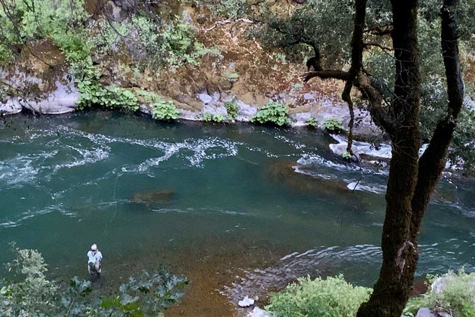 GSSA pushes for Feather, McCloud River reintroduction efforts