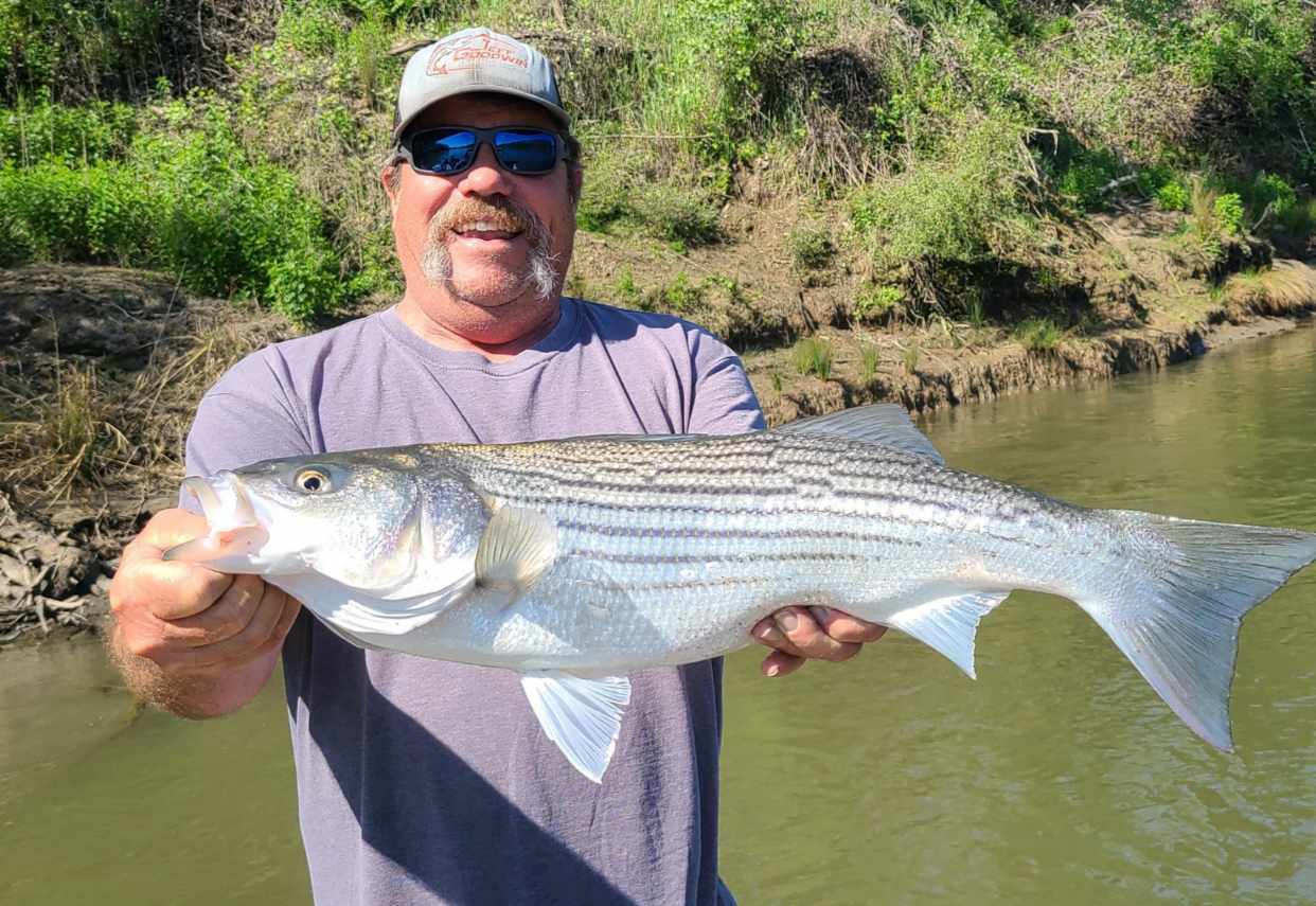Striper season is upon us once again!
