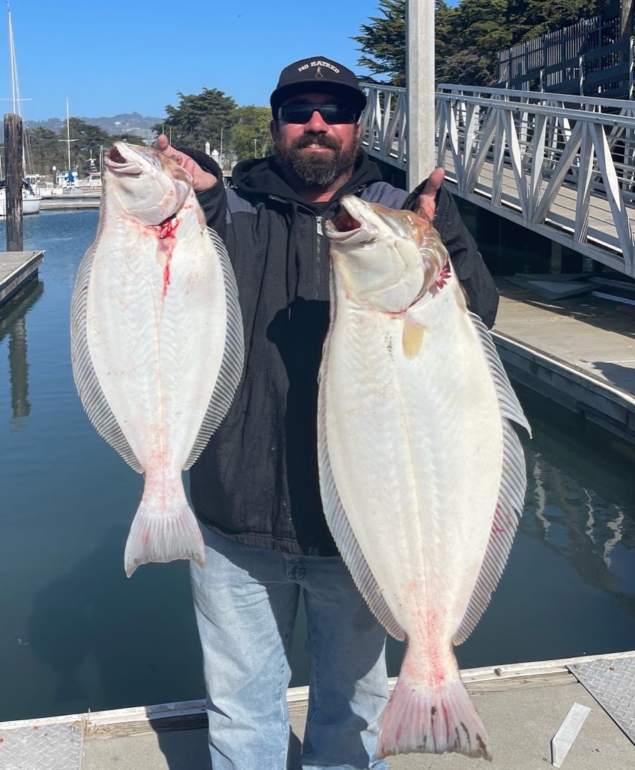 Halibut and bass