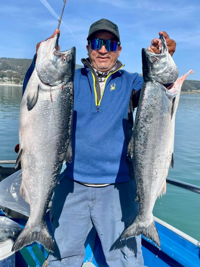 Another great day of limits trolling for salmon