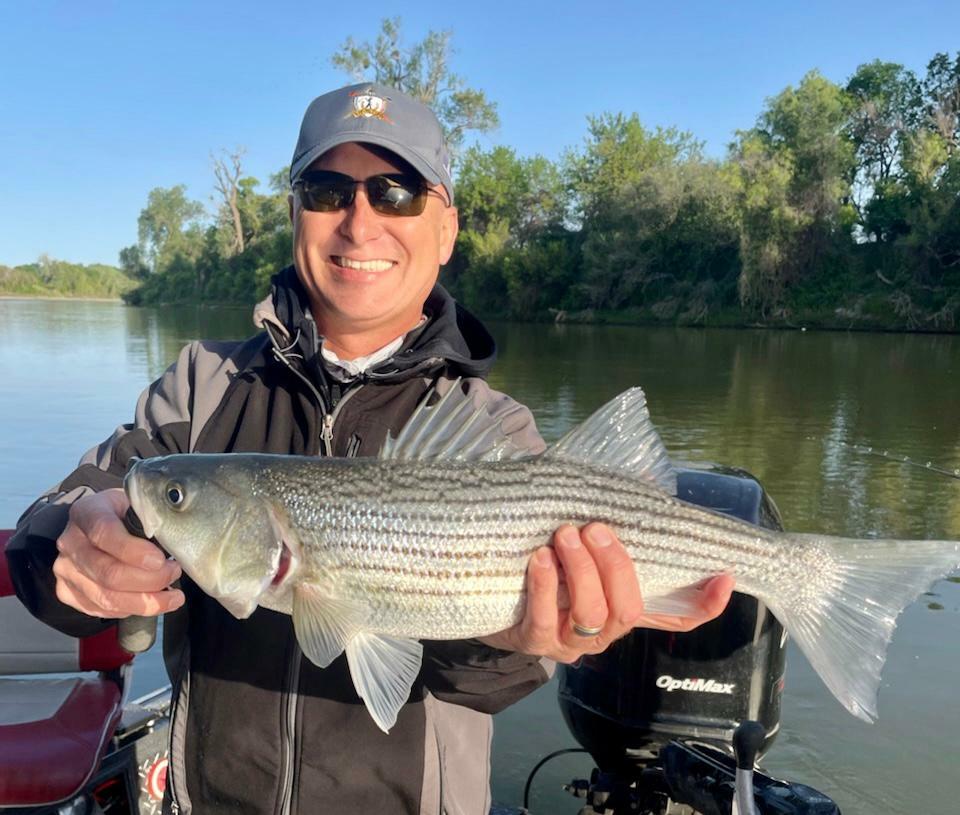 Striper Fishing Warms Up