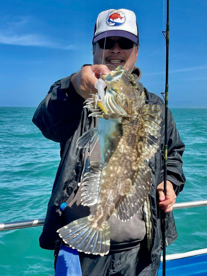 Rockcod fishing today