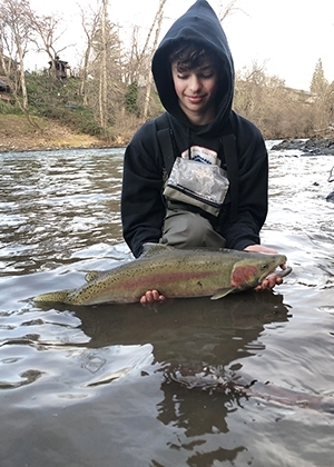 Winter steelhead are being caught in the upper Rogue on a regular