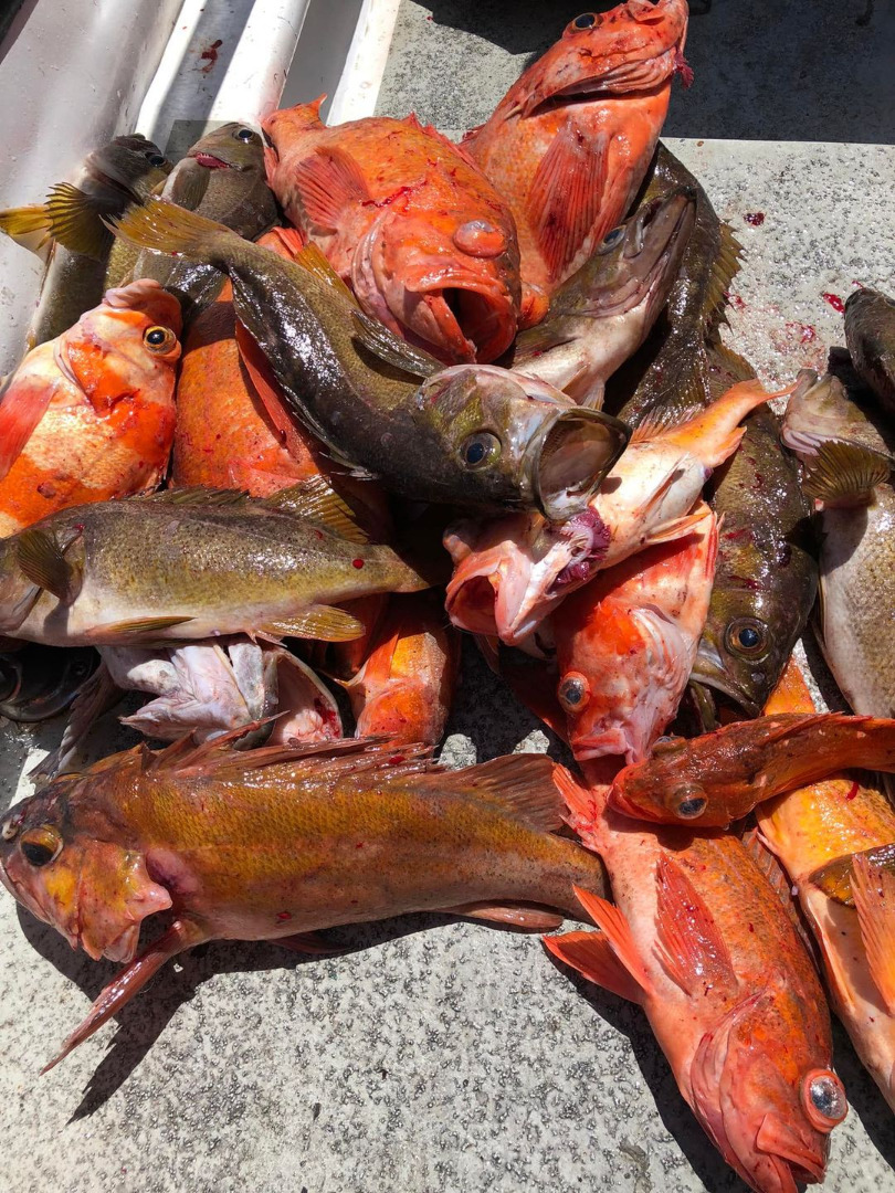 First rockfish trip of the 2022 season