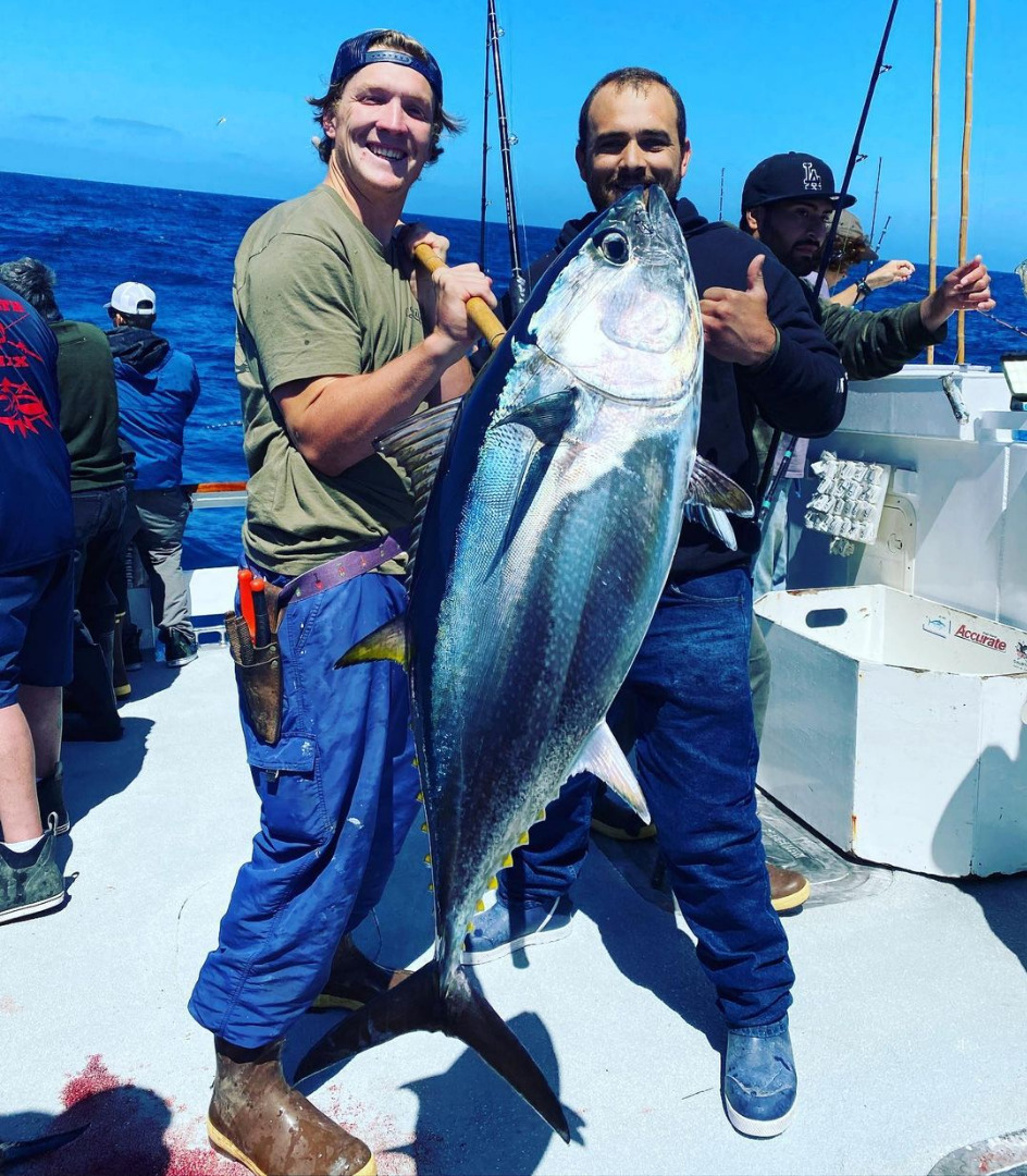 Seaforth Sportfishing Fish Reports