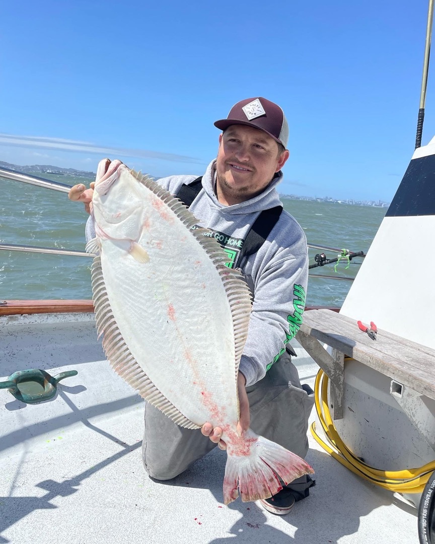 Halibut and bass