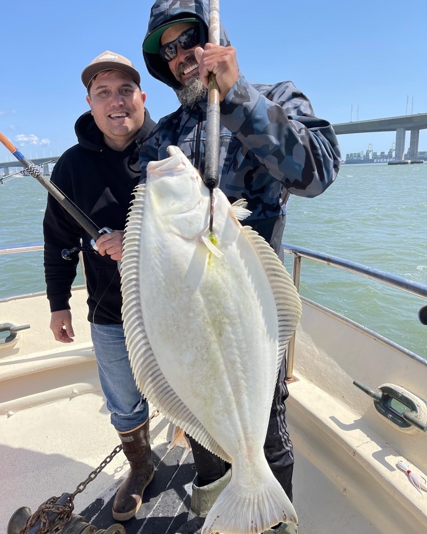 Quality Halibut in the San Francisco Bay