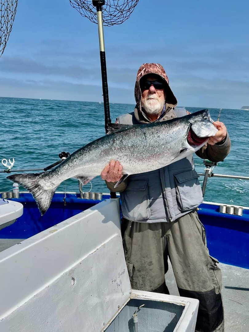 Salmon up to 31lbs. 