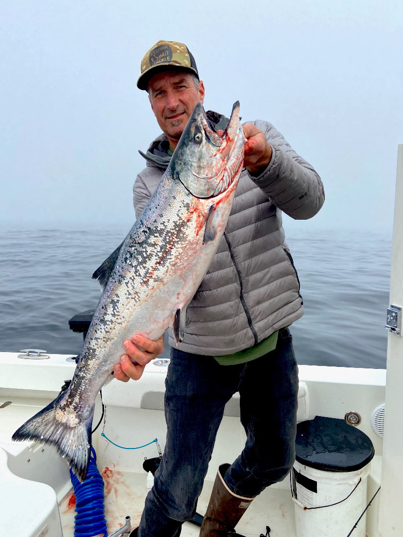Anglers score salmon limits midweek 