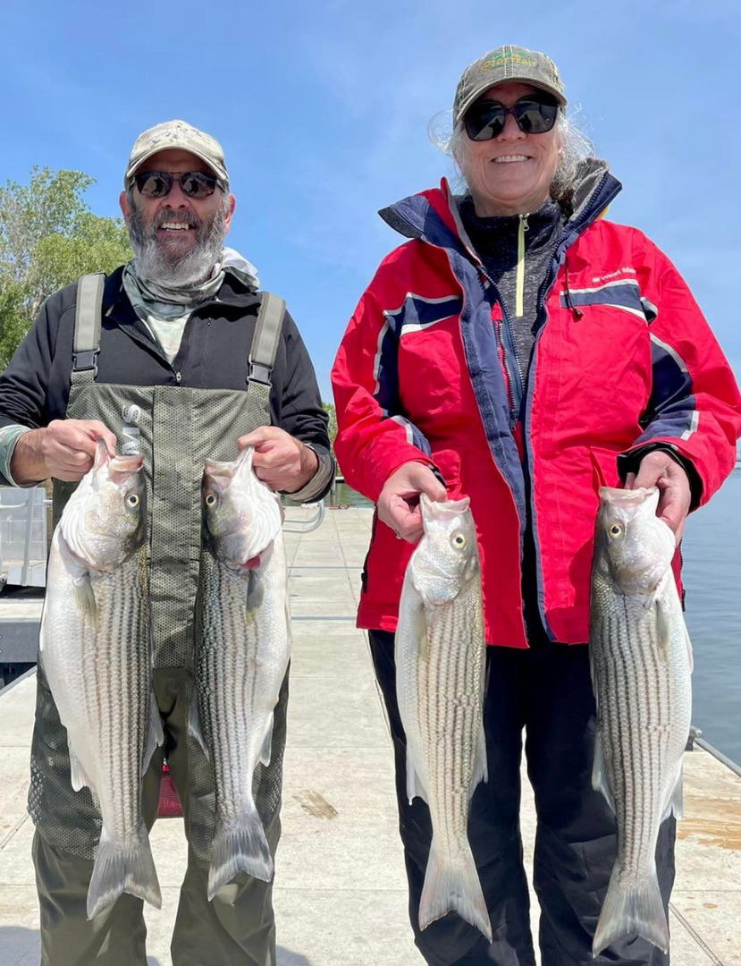 Caught em mostly on deep divers on both sides of the delta