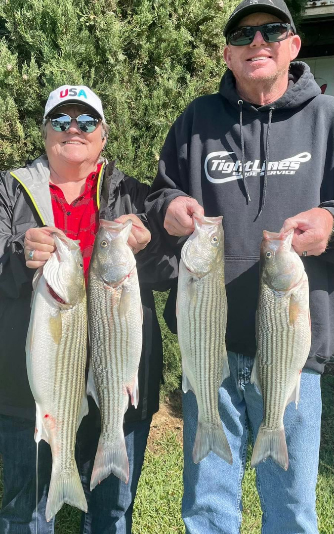 Flat calm at first light and caught some fish