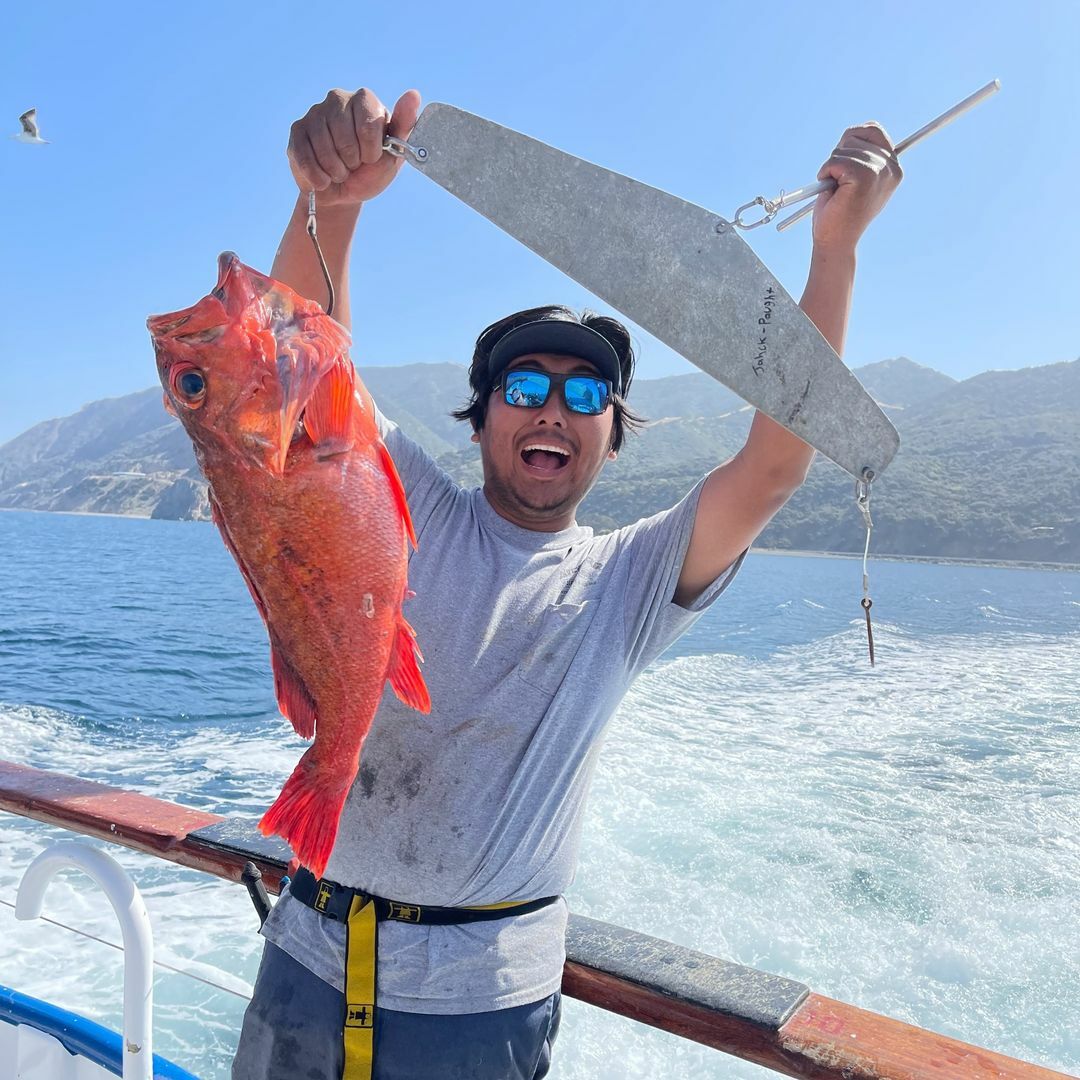 BIGGG Rockfish at the Island!