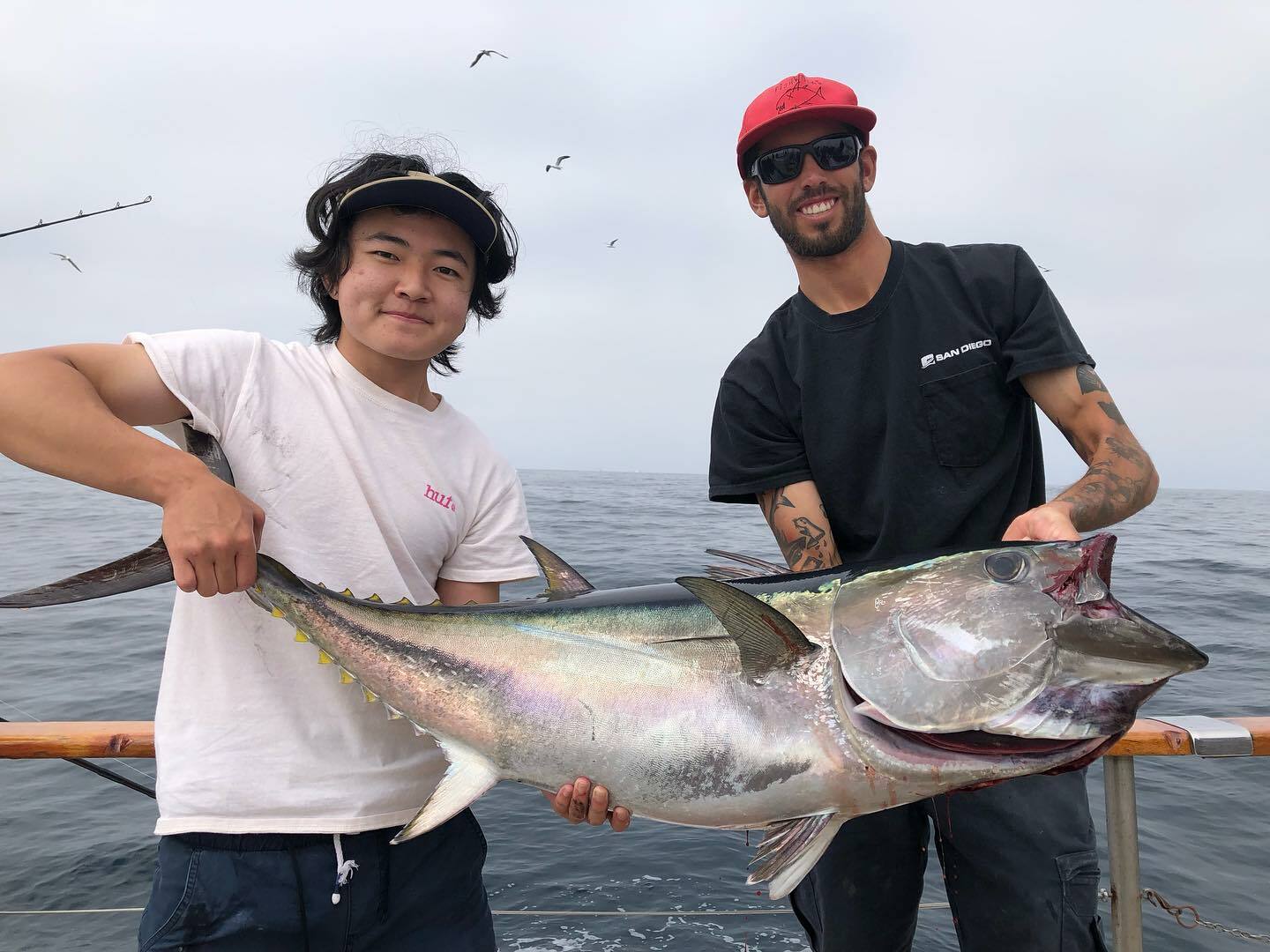 Seaforth Sportfishing Fish Reports