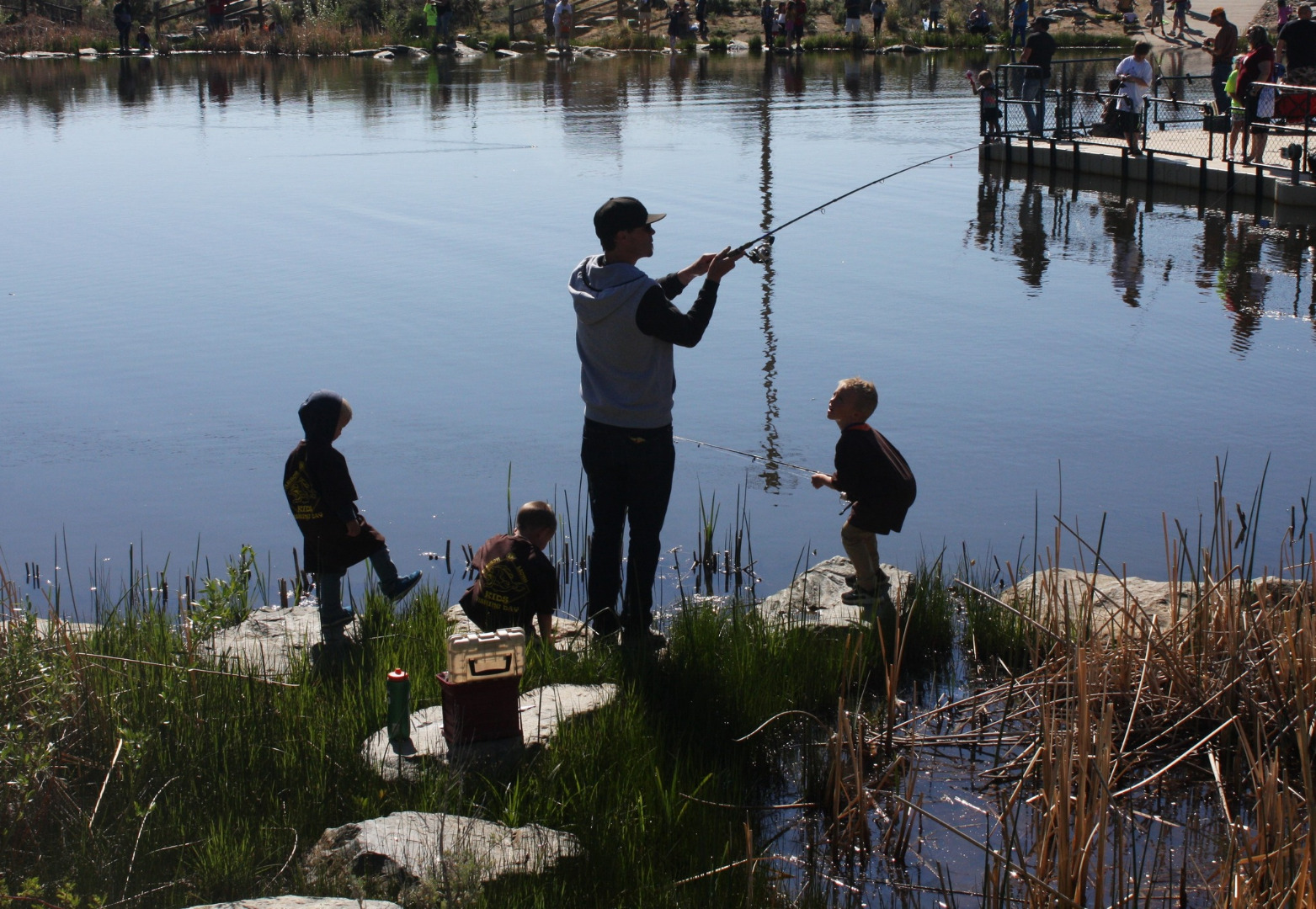 Baily Fishing Pond Fish Report - Carson City, NV (Carson City County)