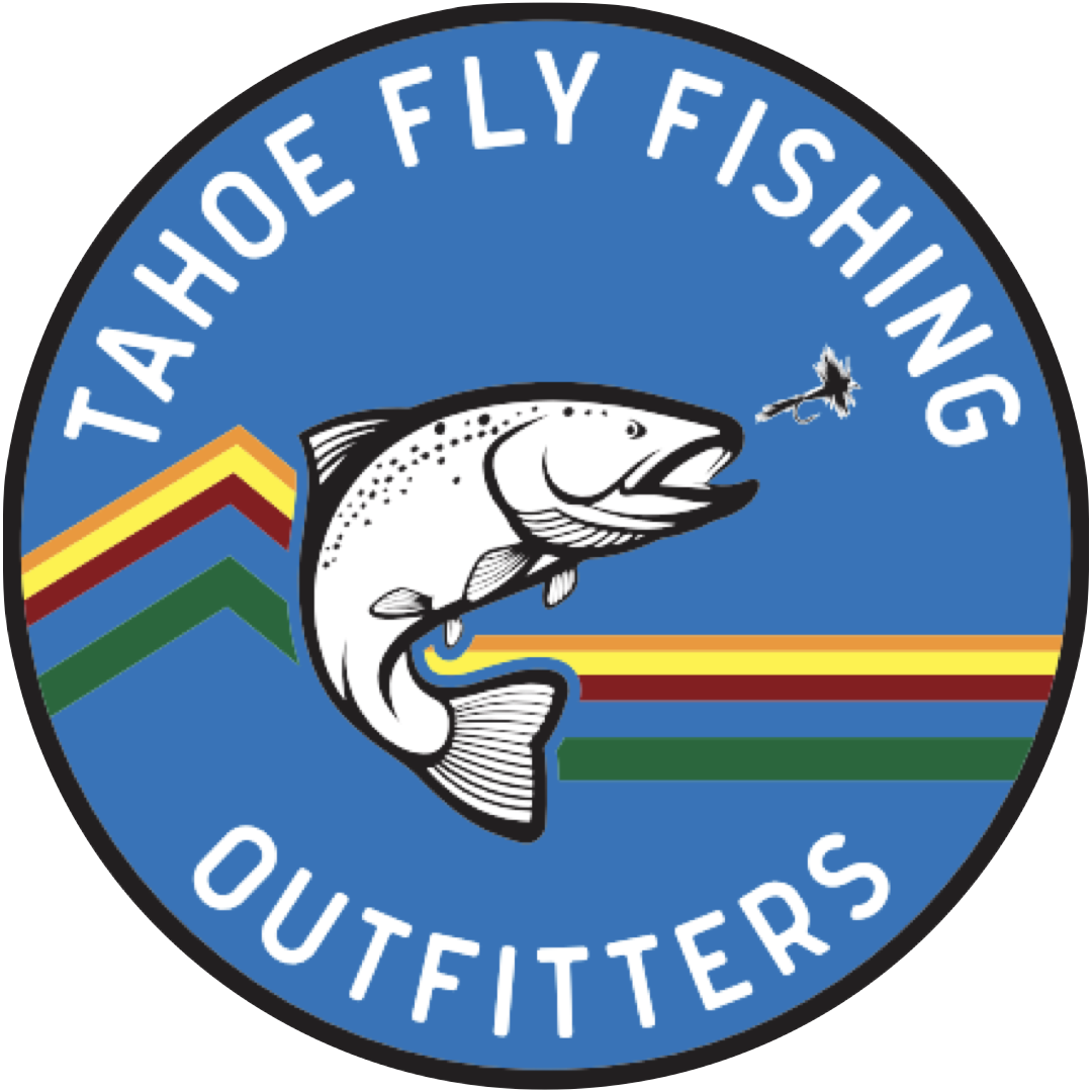 East Carson River (CA) Fish Report - Markleeville, CA (Alpine County)