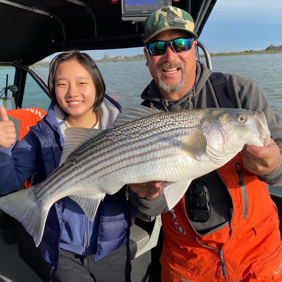 Cinco De Mayo Stripers