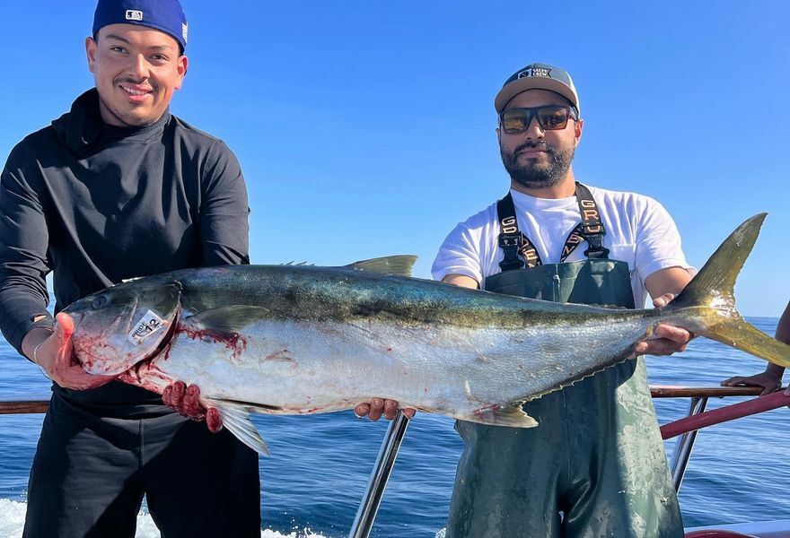 22nd Street Sportfishing Fish Counts