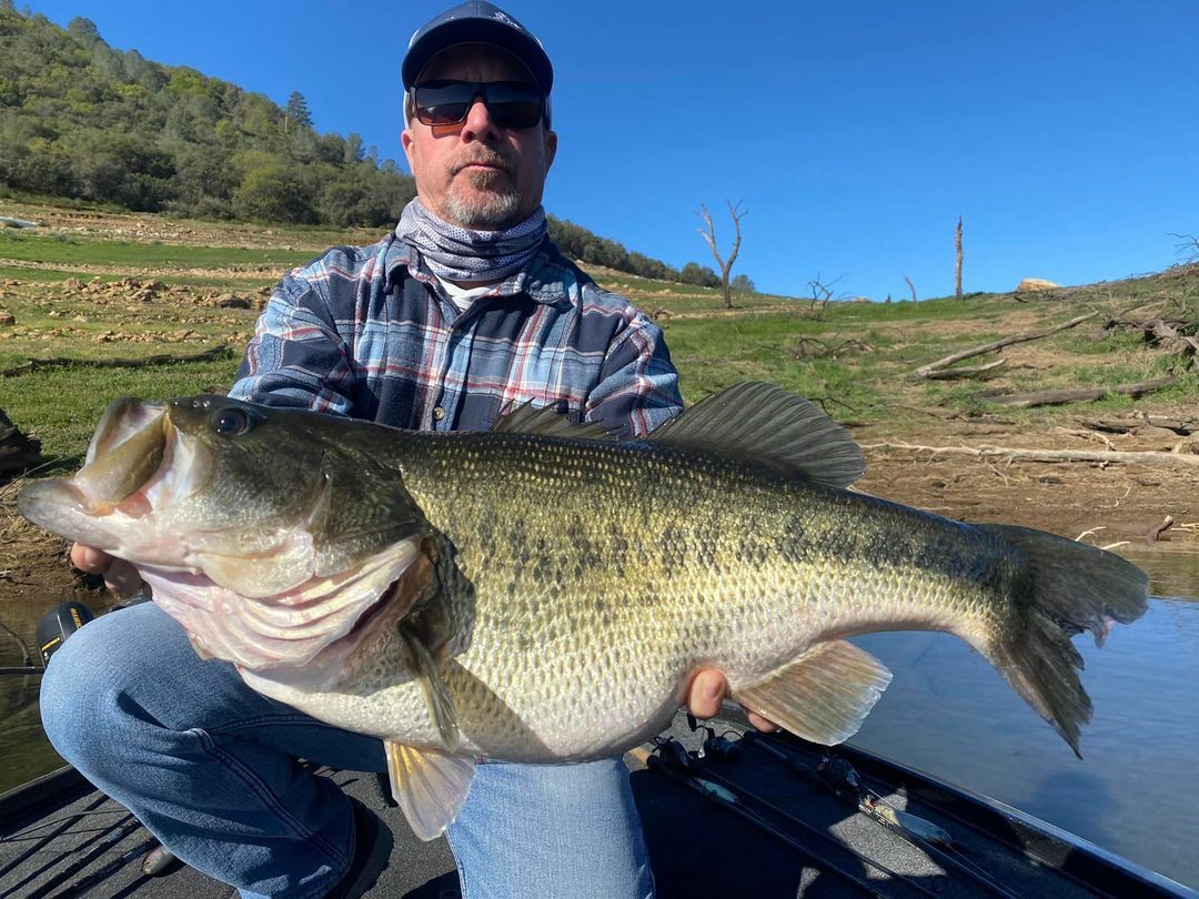 15.94 lb. Largemouth Bass
