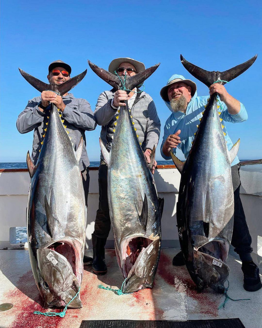 Moo! The Grande landed 3 Cow Bluefin today on their full day trip! 