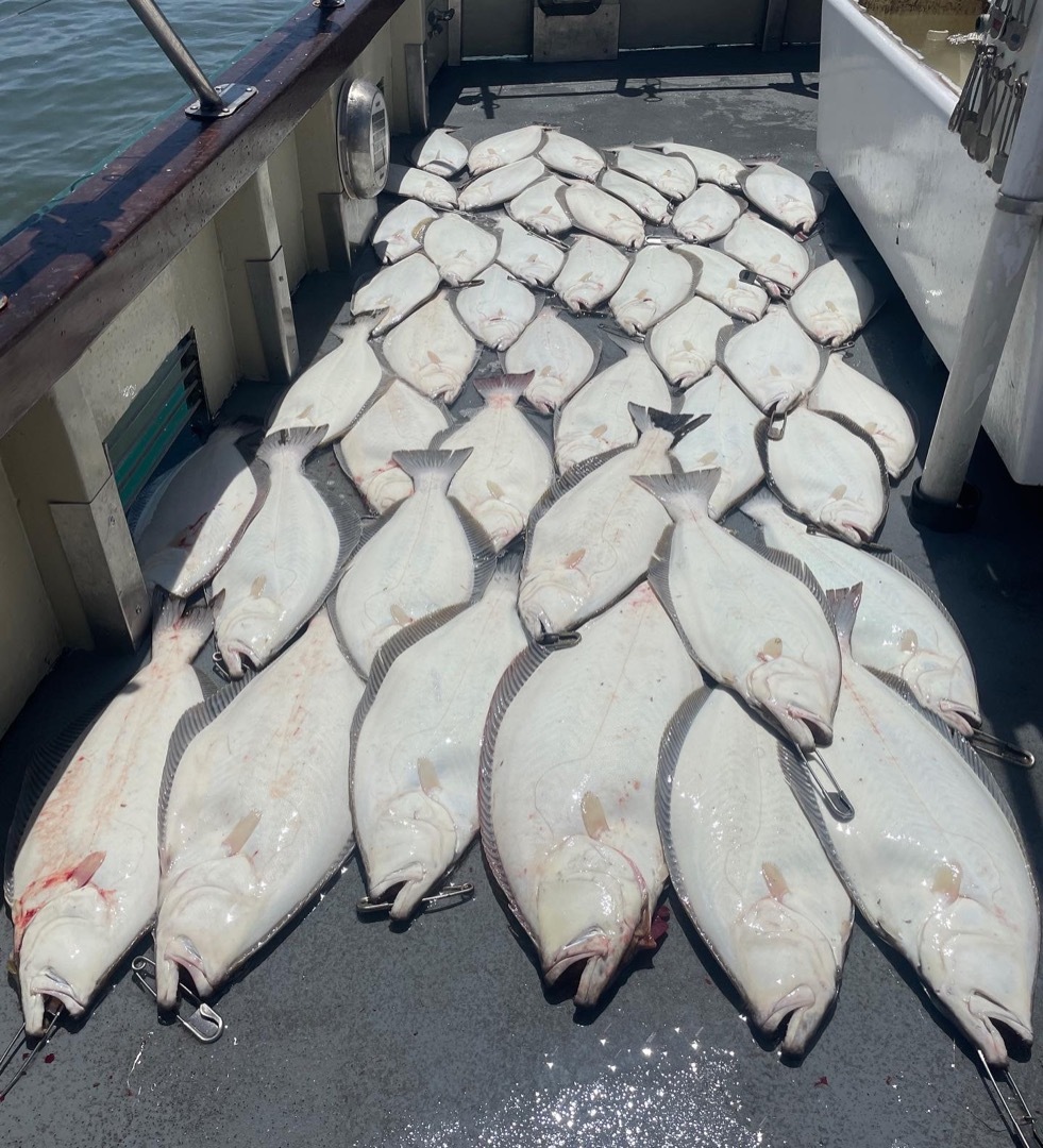 LIMITS of HALIBUT before noon!!!