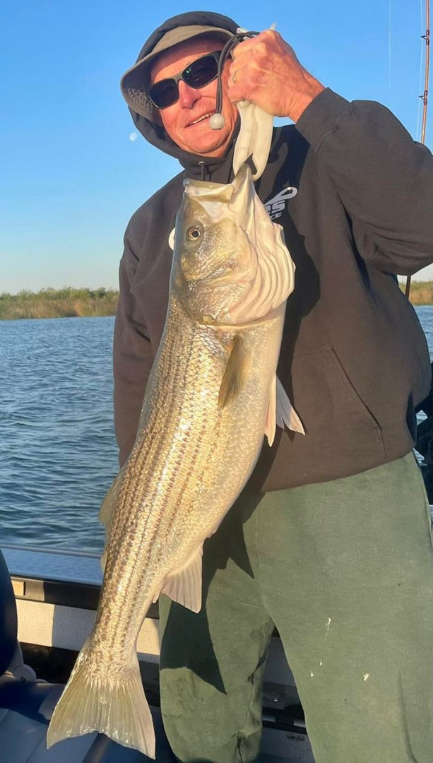 22lb. Striper