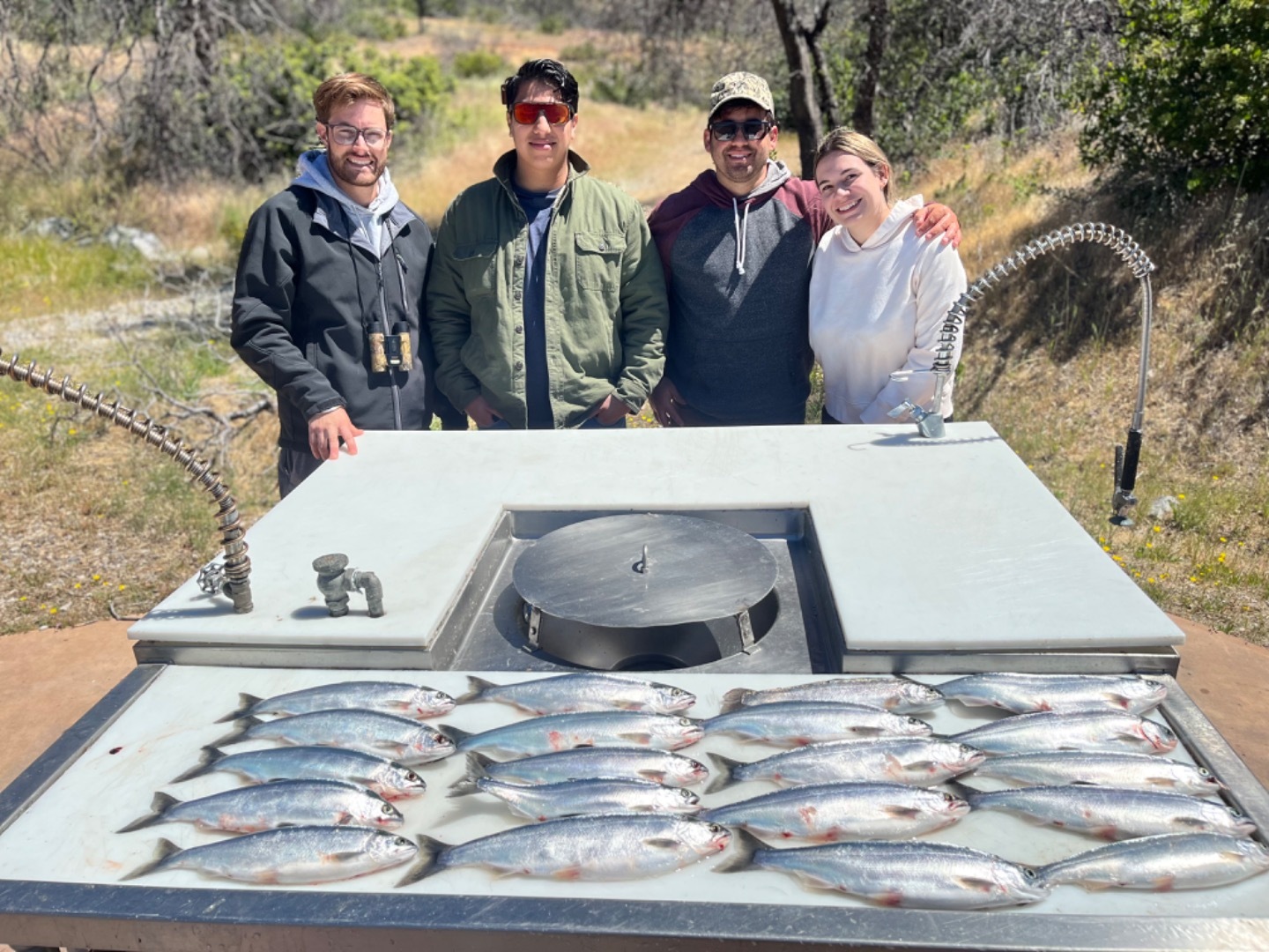 Summer Salmon Fishing 